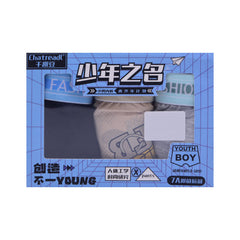 BOYS BOXER 3PC BOX IRS-25 L Q-005 Default Title - MamasJan KidsWear
