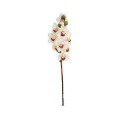 FLOWER STAMP ORCHID 2734-1 Default Title - MamasJan Décor