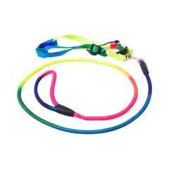PETS COLLAR BELT WITH ROPE IR MB058 Default Title - MamasJan Grocery Nonfood