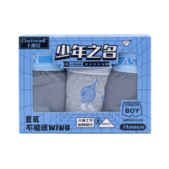 BOYS 3PC BOXER IN BOX MIX COL IRS-26 13-14 YEAR Q005 Default Title - MamasJan KidsWear