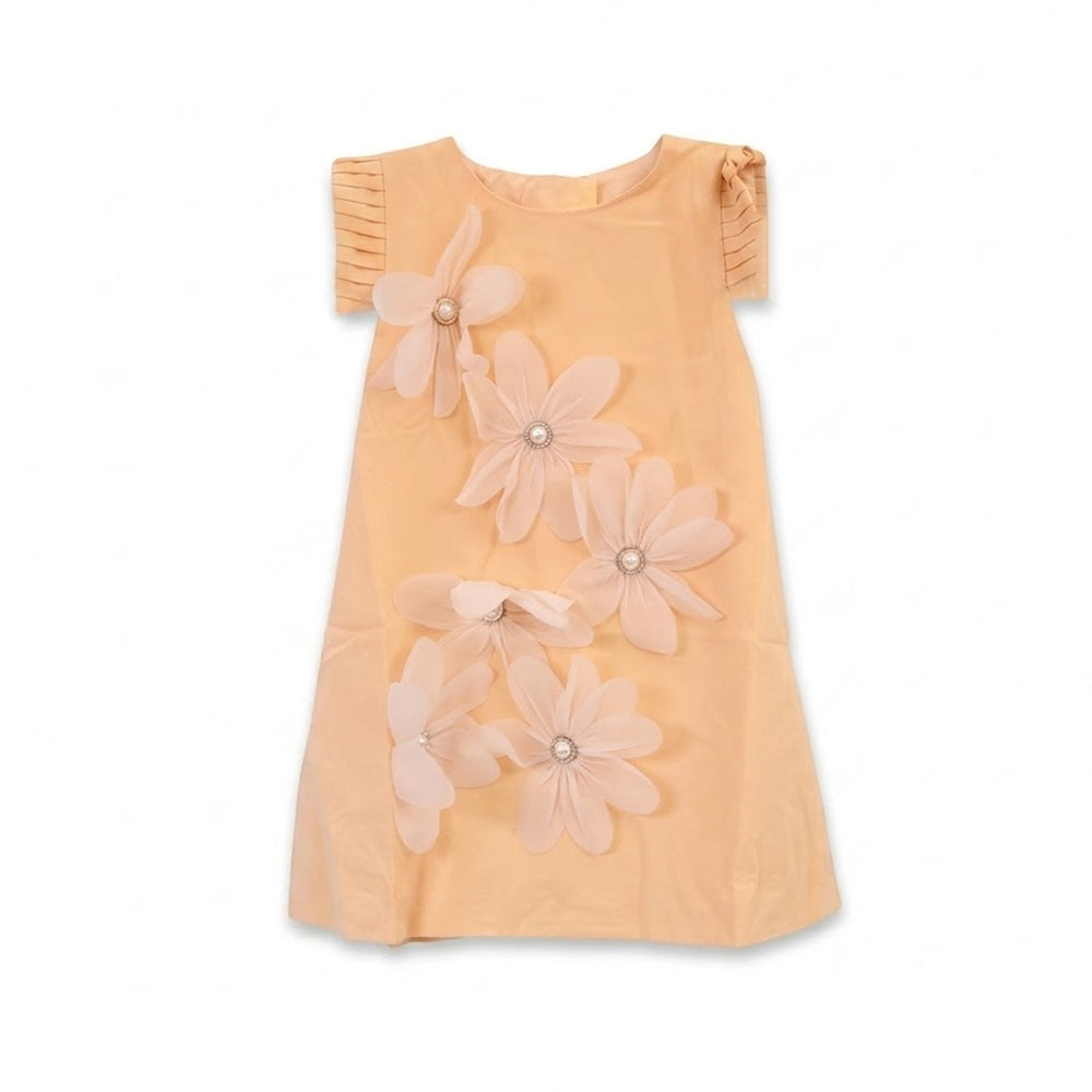 GIRLS S/S FANCY FROCK SKIN IR-26 2-3 YEAR S-24317 Default Title - MamasJan KidsWear