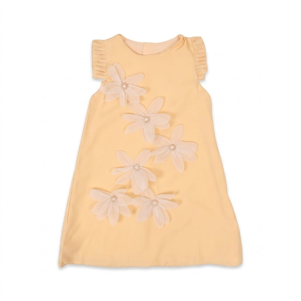 GIRLS S/S FANCY FROCK SKIN IR-26 5-6 YEAR S-24317 Default Title - MamasJan KidsWear