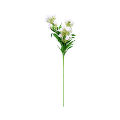 FLOWER STAMP (TUBE ROSE) 304-1 Default Title - MamasJan Decoration