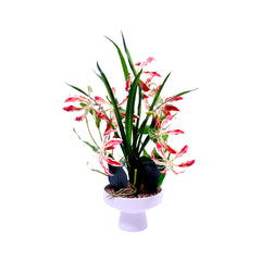 TABLE PLANT WITH POT 2750-14L I.M Default Title - MamasJan Decoration
