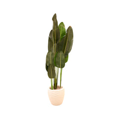 PLANT WITH POT WG032B I.M Default Title - MamasJan Decoration