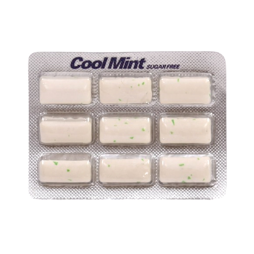 SWEETS HUB COOLMINT GUM SPEARMINT 14 GM Default Title - MamasJan Grocery Food