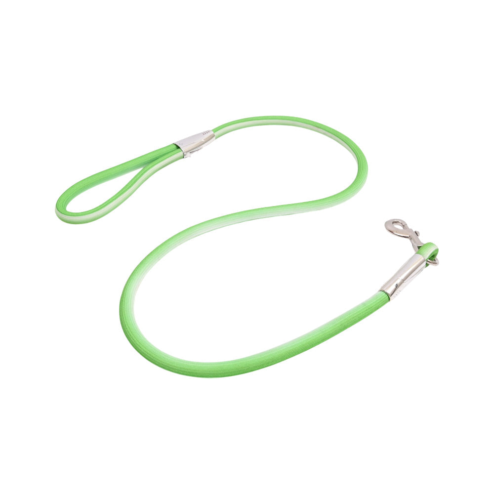 DURABLE BRAIDED PET LEASH LARGE IR Default Title - MamasJan Pet Essentials