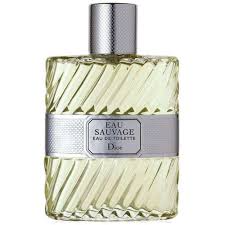 DIOR EAU SAUVAGE MEN EDT 100 ML Default Title - MamasJan s