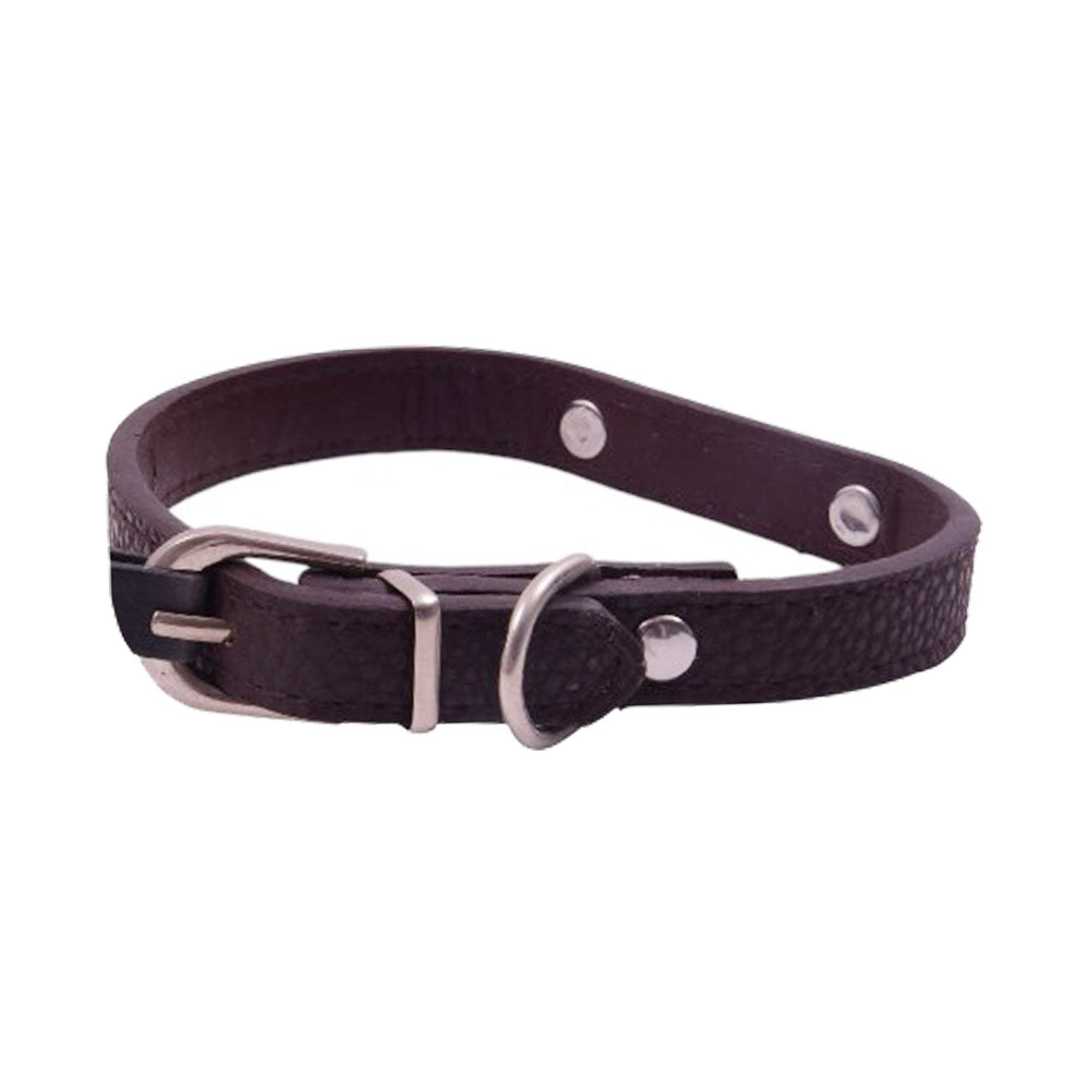 PET LIVING DOG COLLAR 1.5 X 37 CM SMALL 6294 Default Title - MamasJan Pet Essentials