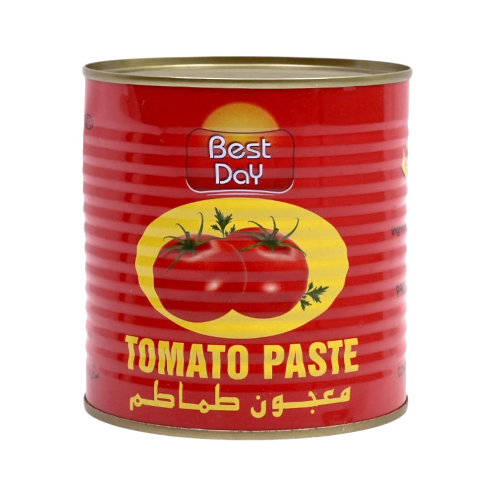 BEST DAY TOMATO PASTE TIN CHINA 800 GM Default Title - MamasJan GroceryFoods
