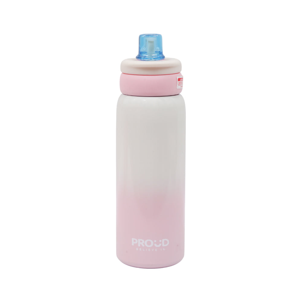 BOTTLE STEEL 680 ML IR X250W Default Title - MamasJan Crockery