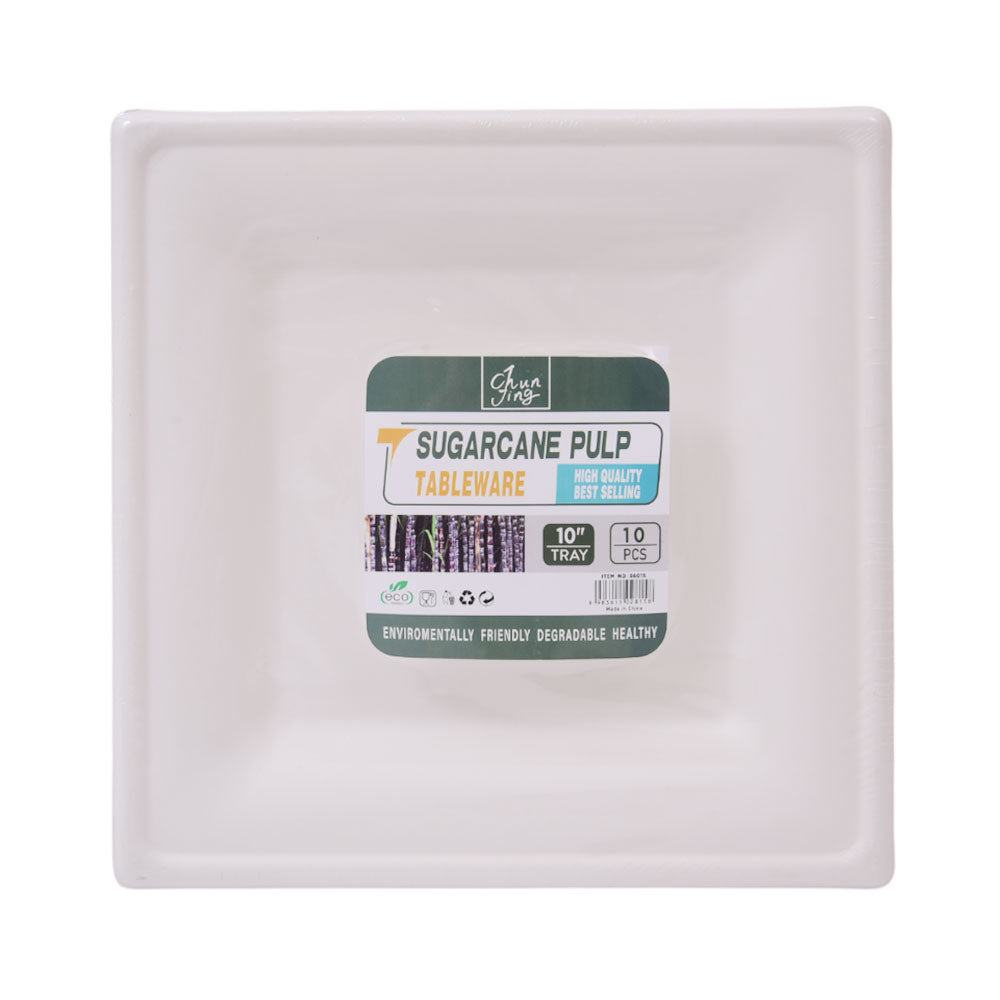 DISPOSABLE PLATE L 10PC PACK IR H-16 Default Title - MamasJan Grocery Nonfood
