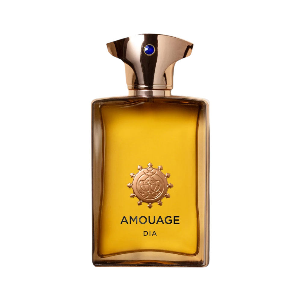 AMOUGE DIA FOR MEN EDP 100ML Default Title - MamasJan Perfume