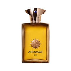 AMOUGE DIA FOR MEN EDP 100ML Default Title - MamasJan Perfume