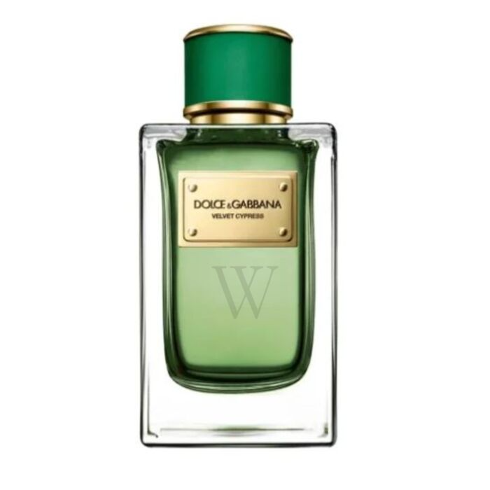 DOLCE & GABBANA VELVET CYPRESS FOR MEN EDP 150 ML Default Title - MamasJan s