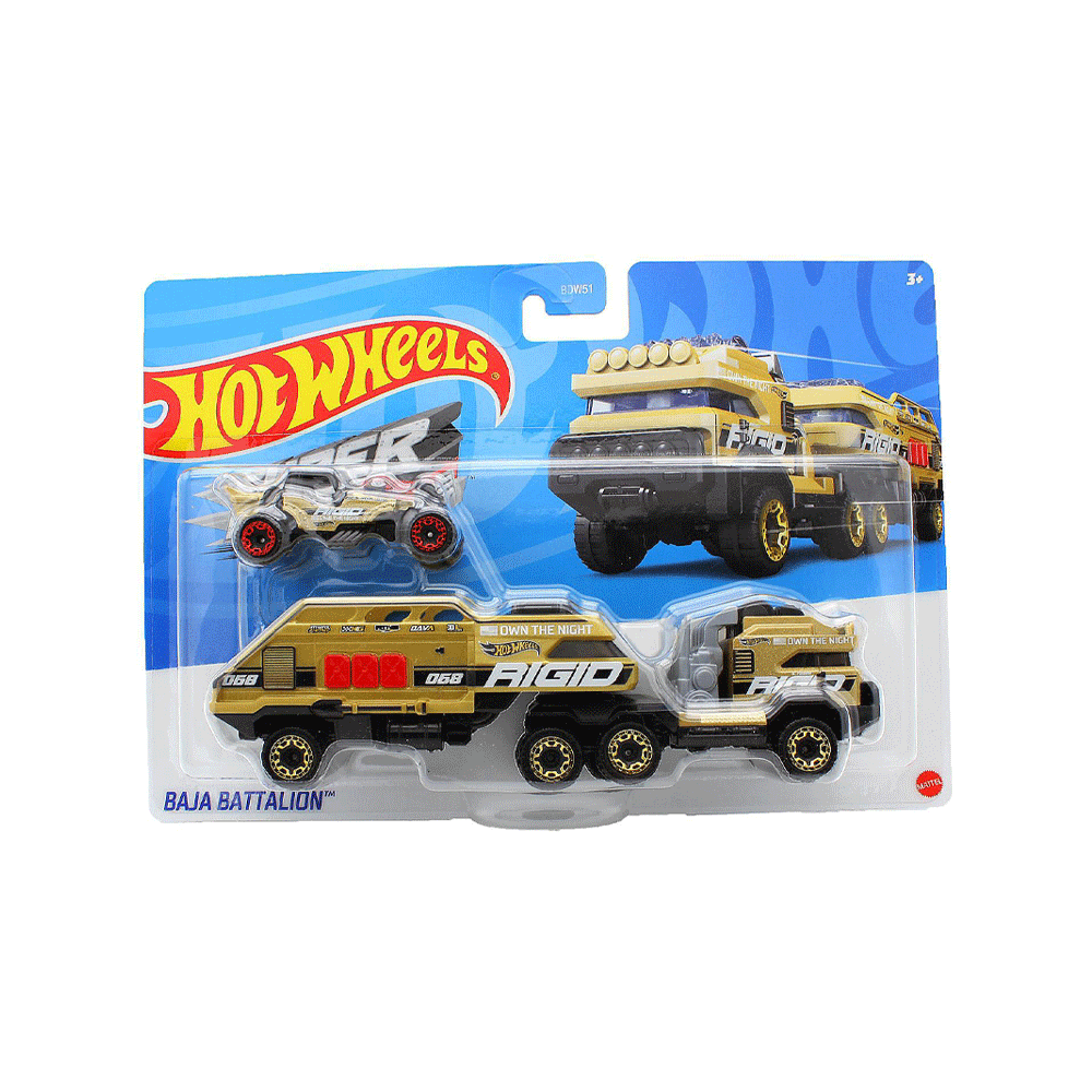 BDW51 HOTWHEEL TRUCK BASIC Default Title - MamasJan Toys