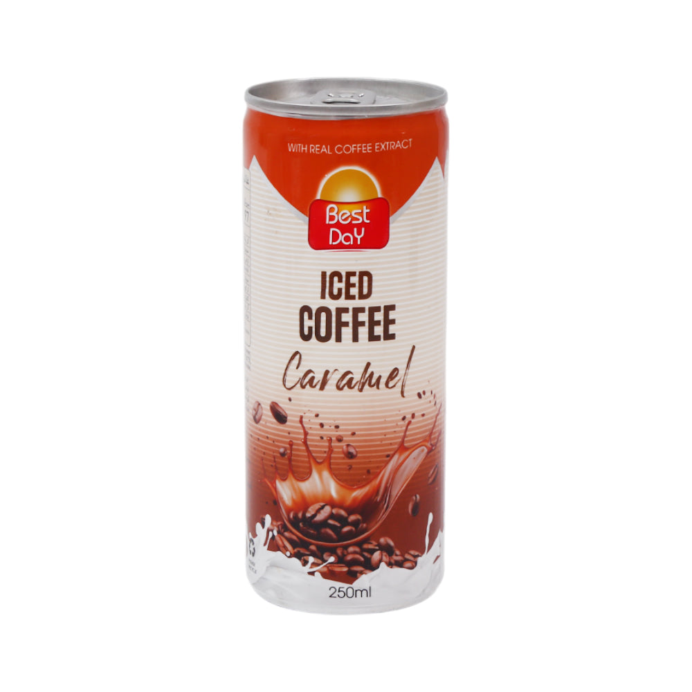 BEST DAY ICED COFFEE CARAMEL 250 ML Default Title - MamasJan GroceryFoods