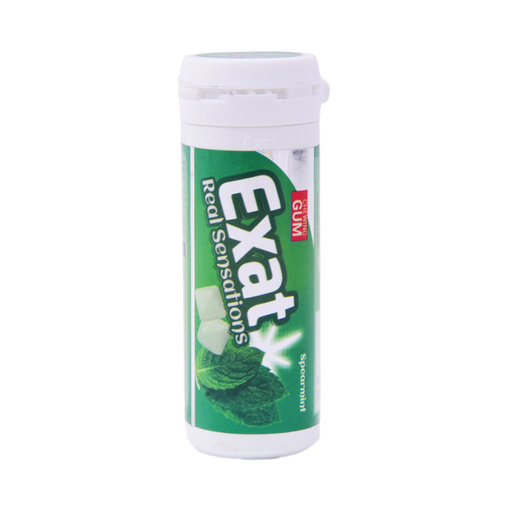 EXAT BUBBLE CAN SPEARMINT 32GM Default Title - MamasJan Grocery