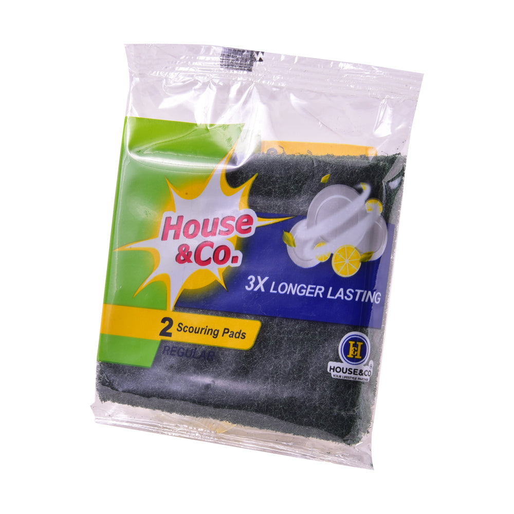 HOUSE&CO. SCOURING PAD REGULAR 2IN1 Default Title - MamasJan Grocery Nonfood