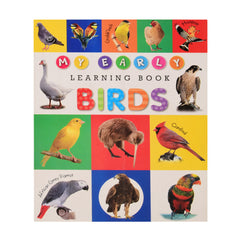 2125 MY EARLY LEARNING BOOK BIRDS Default Title - MamasJan Toys