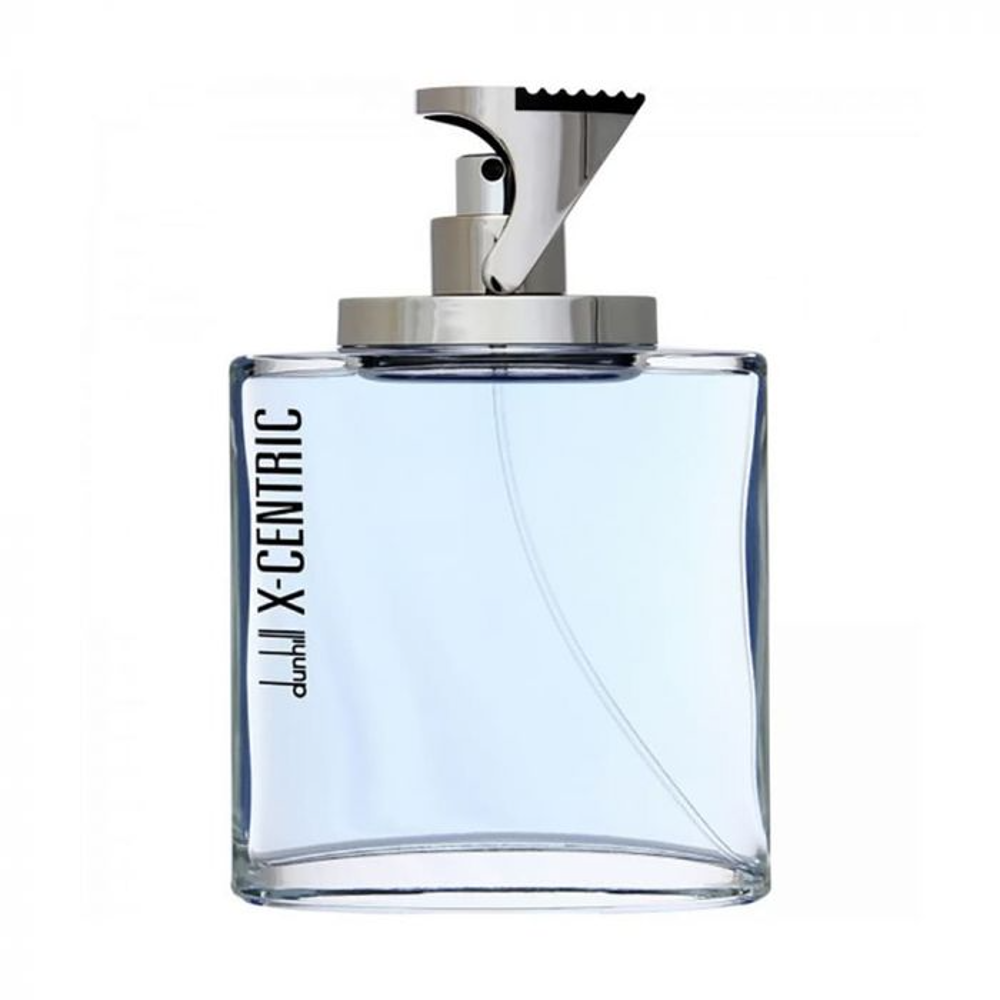 DUNHILL X-CENTRIC MAN EDT 100 ML PC Default Title - MamasJan s