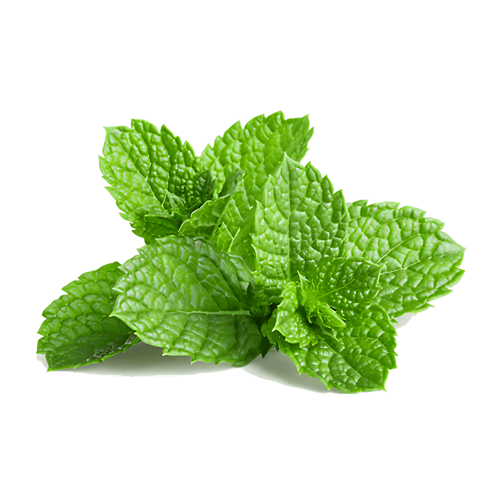 MINT(Poodhina) (Bunch) Default Title - MamasJan Friuits & Vegetables