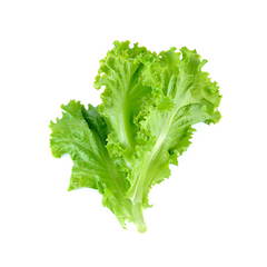 SALAD LEAF (Bunch) Default Title - MamasJan Friuits & Vegetables
