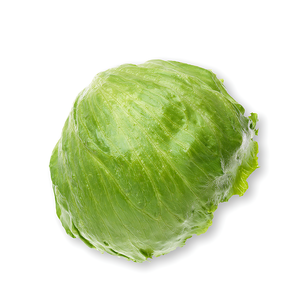 ICE BERG(salad pata)(1 KG TO 500 GM) 500 GM - MamasJan Friuits & Vegetables
