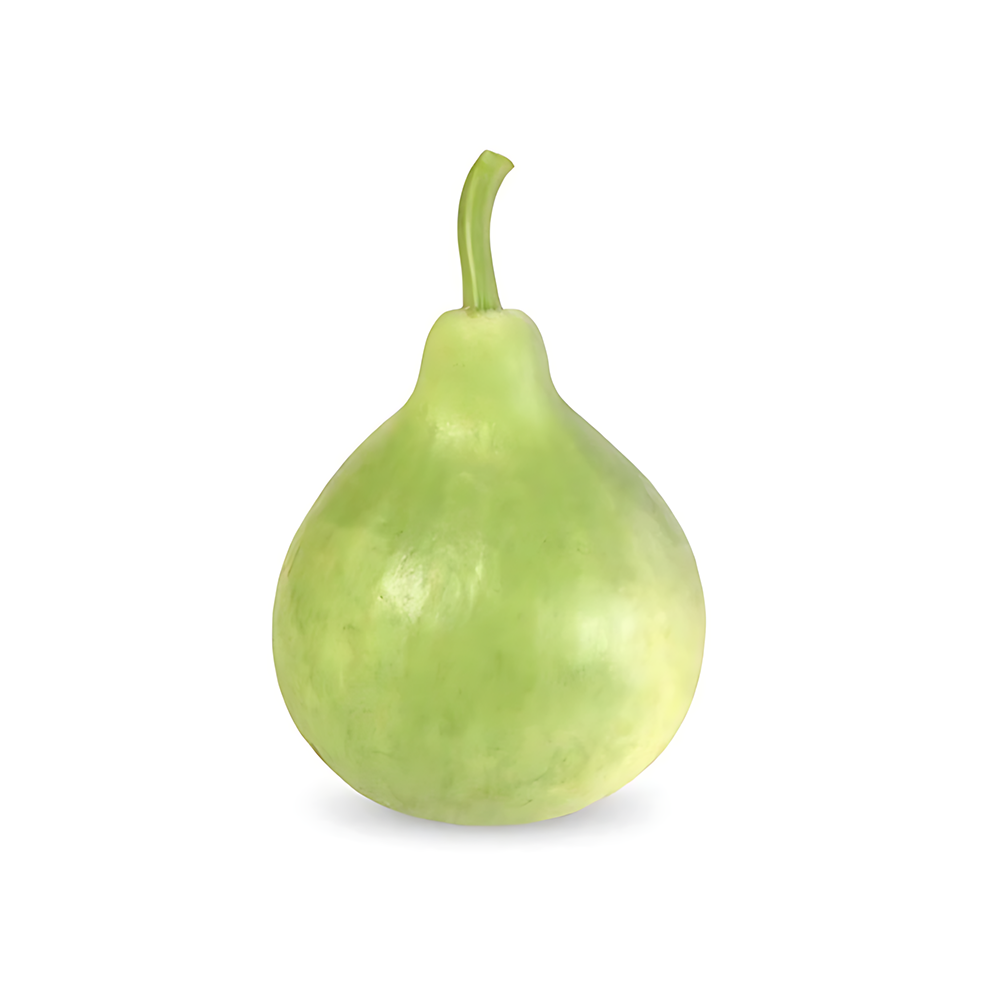 ROUND GOURD(Kadu)(1 KG TO 500 GM) 500 GM - MamasJan Friuits & Vegetables