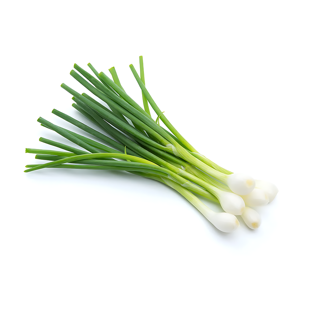 SPRING ONION (Sabz Piyaz) (1 KG TO 250 GM) 250 GM - MamasJan Fruits & Vegitables
