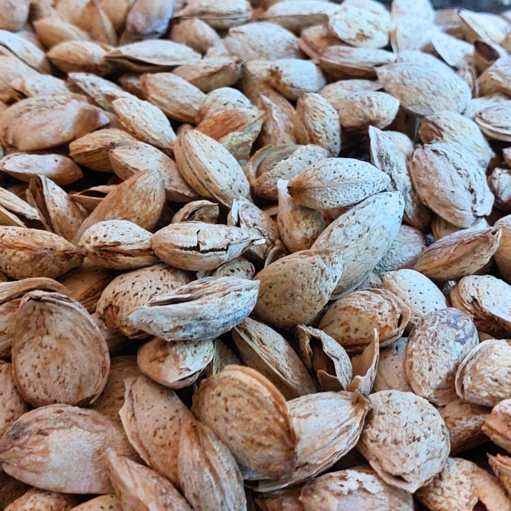 ALMOND QUETTA WITH SHELL LOOSE 250 GM - MamasJan GroceryFoods