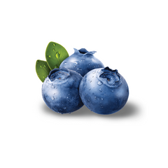 BLUE BERRY (125GM Box) Default Title - MamasJan Friuits & Vegetables