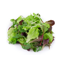 MIX SALAD LEAVES (Bunch) Default Title - MamasJan Fruits & Vegitables