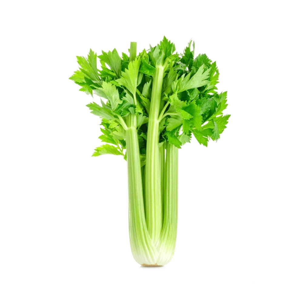 ZEEZ GARDEN CELERY. Default Title - MamasJan Always Fresh