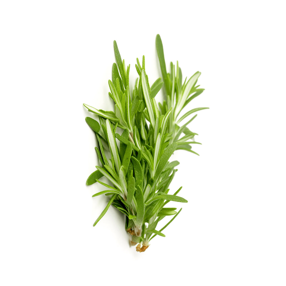 ZEEZ GARDEN ROSEMARY. Default Title - MamasJan Always Fresh