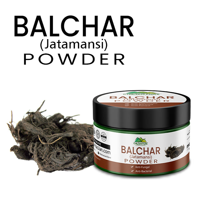 Balchar (Jatamansi) Powder – Stress Buster, Effective for Alopecia, Improves Learning & Memory Ability