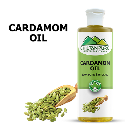 Cardamom Infused Oil – Protects Oral Health, Promotes Blood Circulation & Skin Purifier