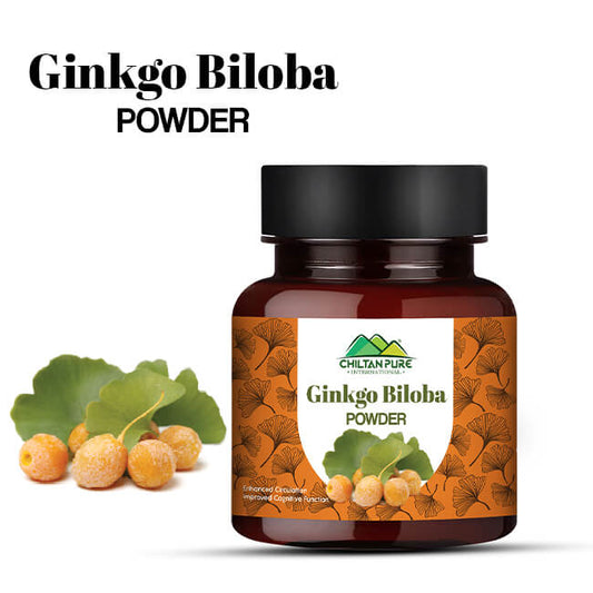 Ginkgo biloba / maidenhair [جنگو بائیلوبا پاؤڈر] powder 100% pure organic