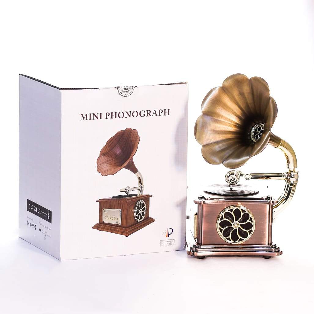 MINI PHONOGRAPH IR 1245-1247 Default Title - MamasJan s