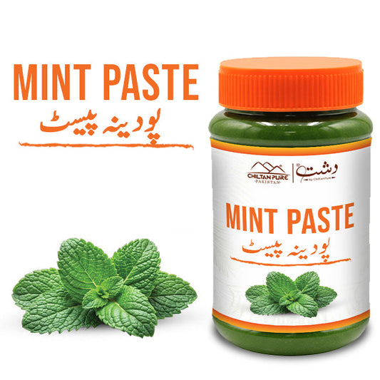 Mint Paste / پودینہ پیسٹ / Podina Paste / 700gm