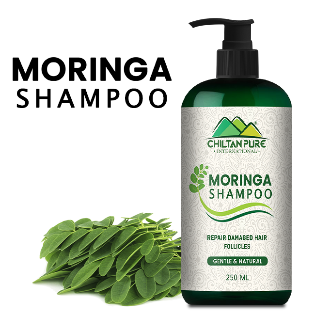 Moringa Shampoo – High Nourishing & Moisturizing Antioxidant Power
