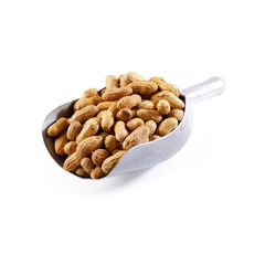 AL-NASEEB PEANUT WITH SHELL 400 GM PC Default Title - MamasJan Grocery