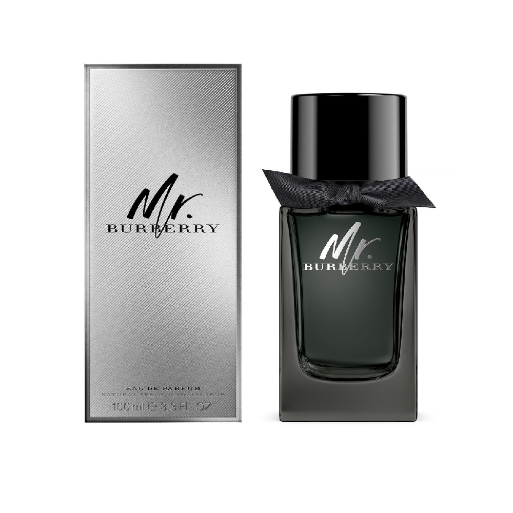 BURBERRY MR BURBERRY MEN EDP 100 ML Default Title - MamasJan s