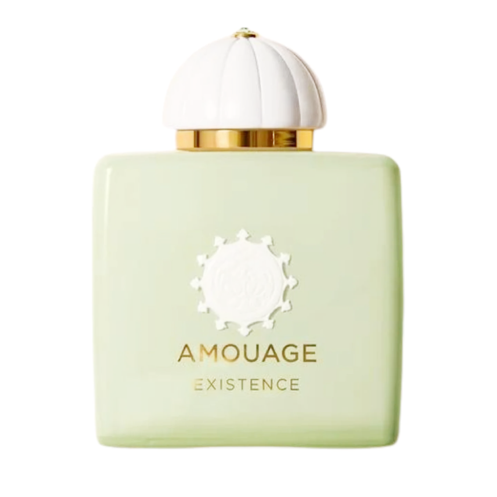 AMOUAGE EXISTENCE FOR MEN EDP 100ML Default Title - MamasJan Perfume