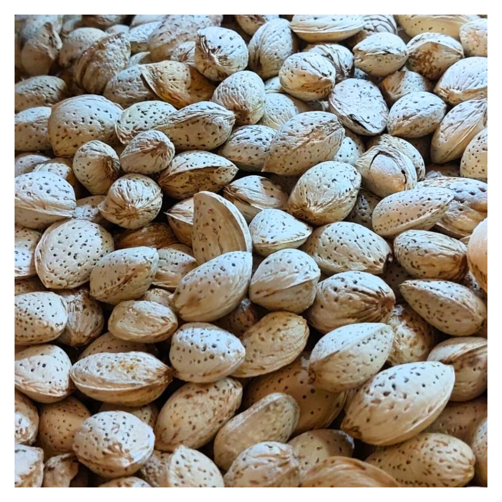 ALMOND ABDUL WAHDI WO SHELL LOOSE Default Title - MamasJan Grocery Food