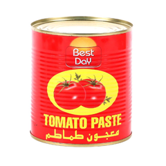 BEST DAY TOMATO PASTE 210 GM Default Title - MamasJan Grocery