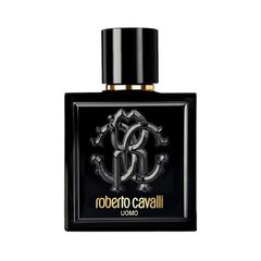 ROBERTO CAVALLI UOMO M EDT 100 ML 100 ML Default Title - MamasJan Perfume