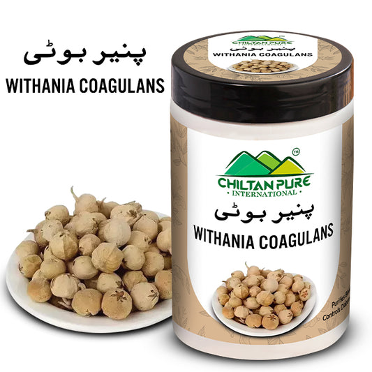 Paneer Booti پنیر بوٹی (Withania Coagulans) Paneer Dodi Indian Rennet - Purifies Blood, Controls Diabetes, Relief Digestive Discomfort & Ideal for Acne Prone Skin!