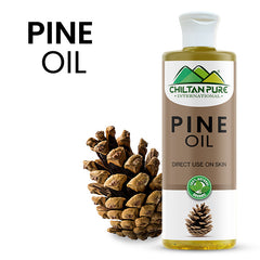 Pine Infused Oil – Decongestant, Circulation-Stimulating & Immune-Enhancing