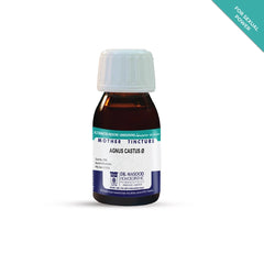 Agnus Castus Q - Mother Tincture